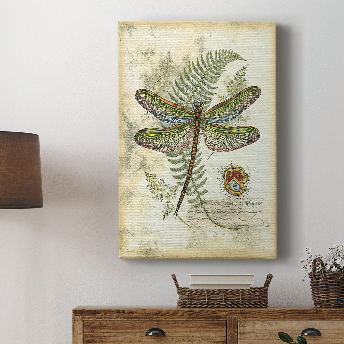 Regal Dragonfly I (PP)  - Canvas Art Print