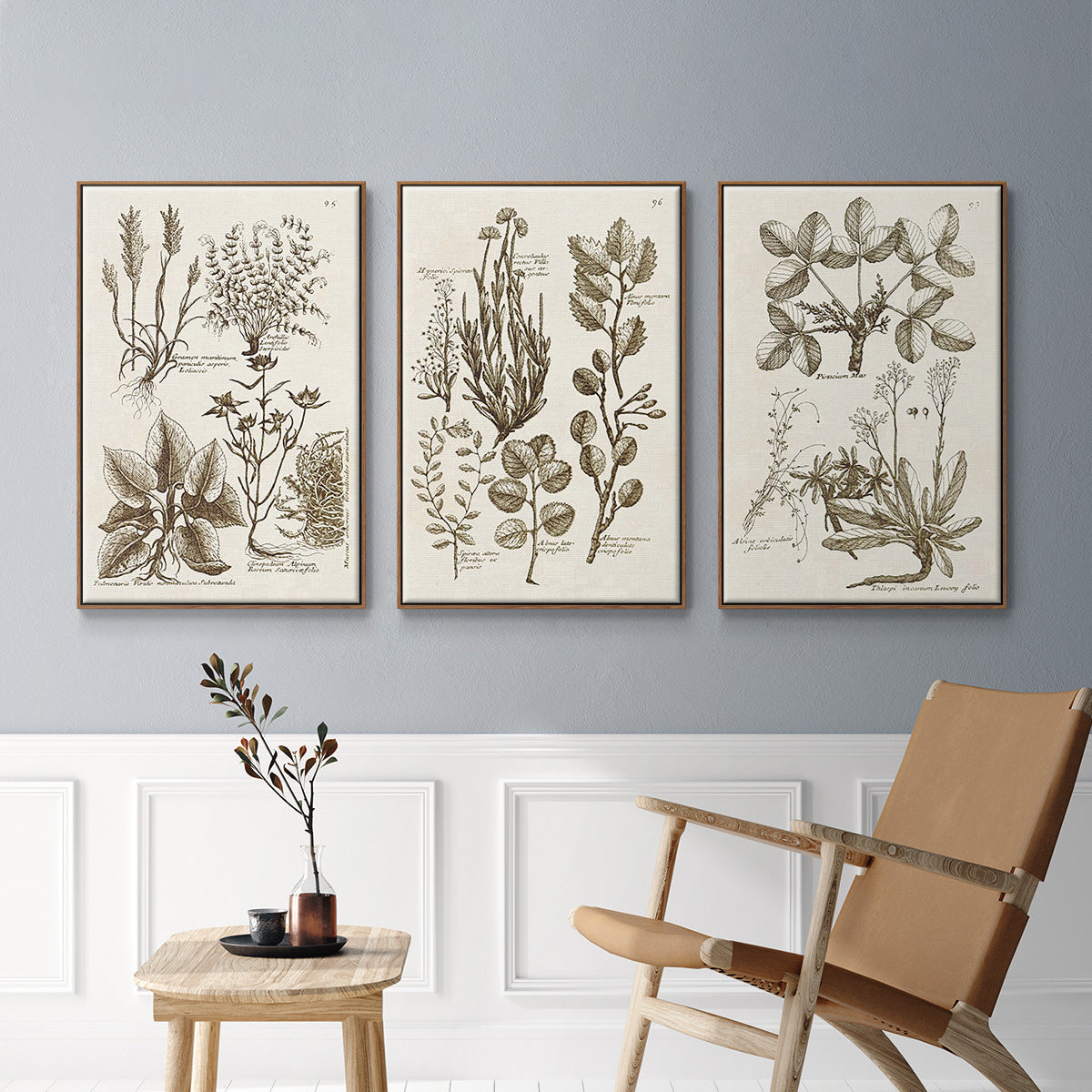 Sepia Botanical Journal VI - Framed Premium Gallery Wrapped Canvas L Frame 3 Piece Set - Ready to Hang