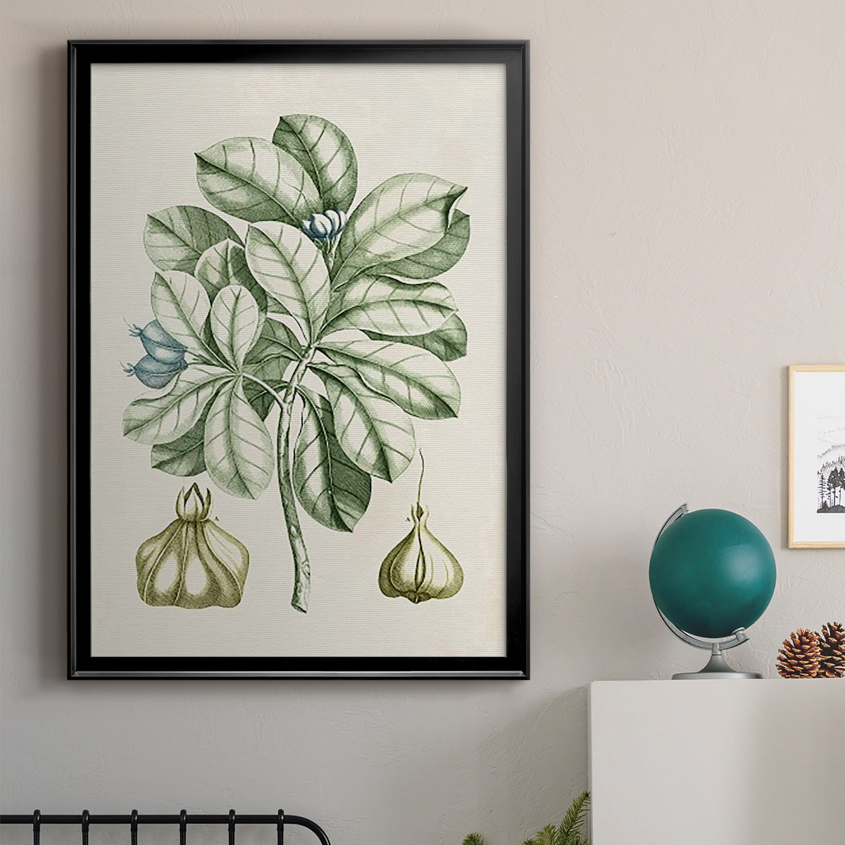 Buchoz Tropicals IX - Modern Framed Canvas Print