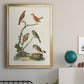 Antique Birds in Nature IV - Modern Framed Canvas Print