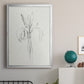 Neutral Iris Sketch II - Modern Framed Canvas Print