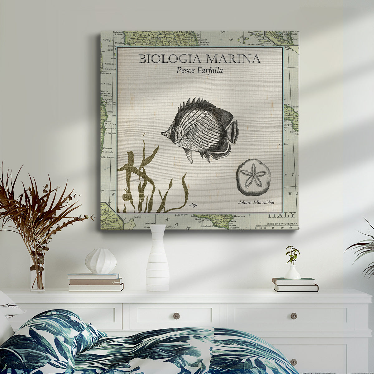 Biologia Marina I-Premium Gallery Wrapped Canvas - Ready to Hang