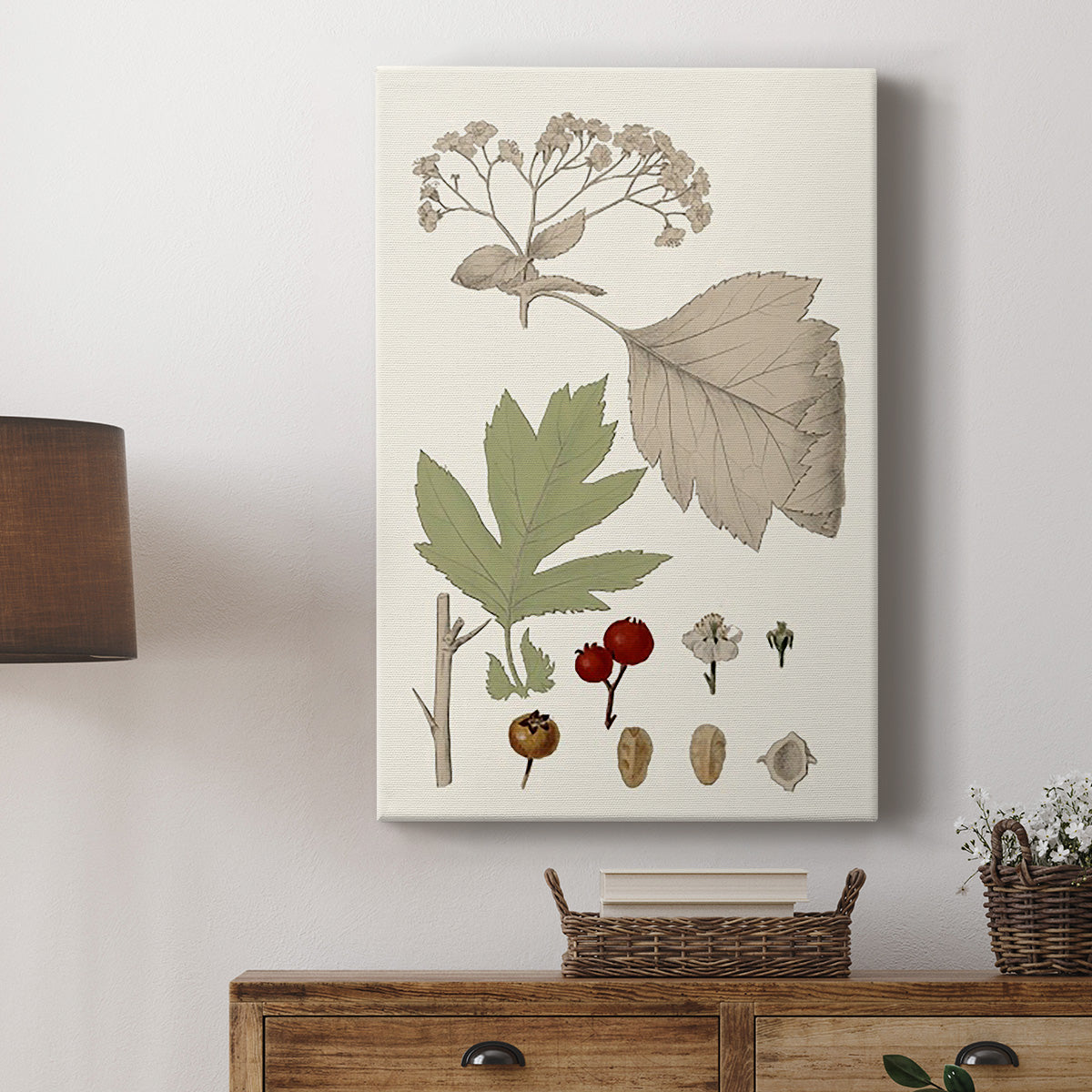 Leaves & Berries II - Canvas Art Print