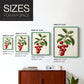 Antique Fruit II - Restickable Framed Art Print