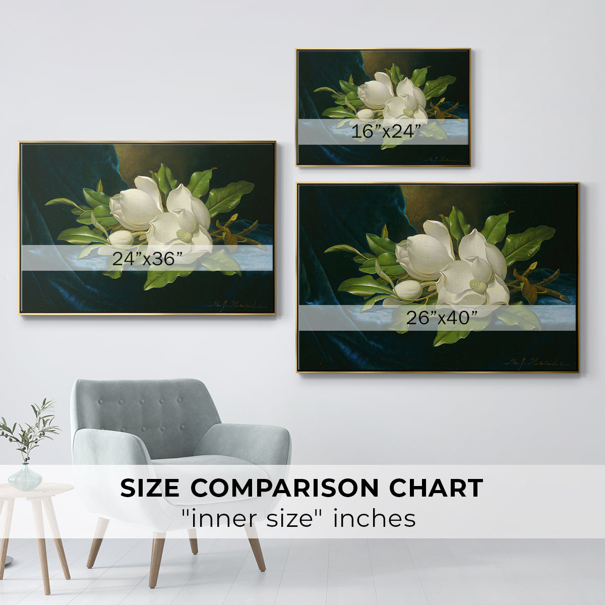 Giant Magnolias on a Blue Velvet Cloth, c. 1890 - Floater Framed Canvas Print