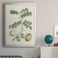 Buchoz Tropicals II - Modern Framed Canvas Print