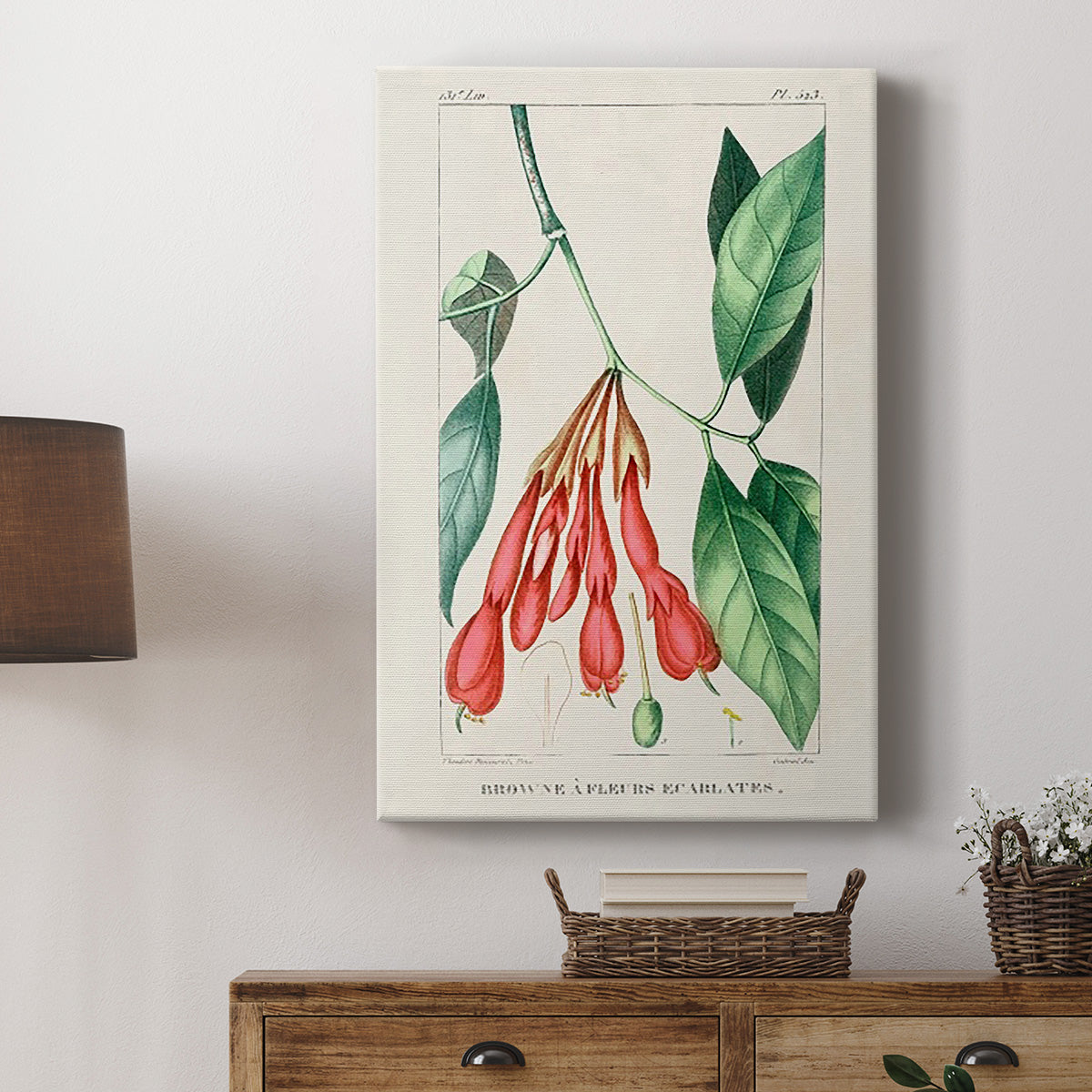Turpin Tropical Botanicals I - Canvas Art Print
