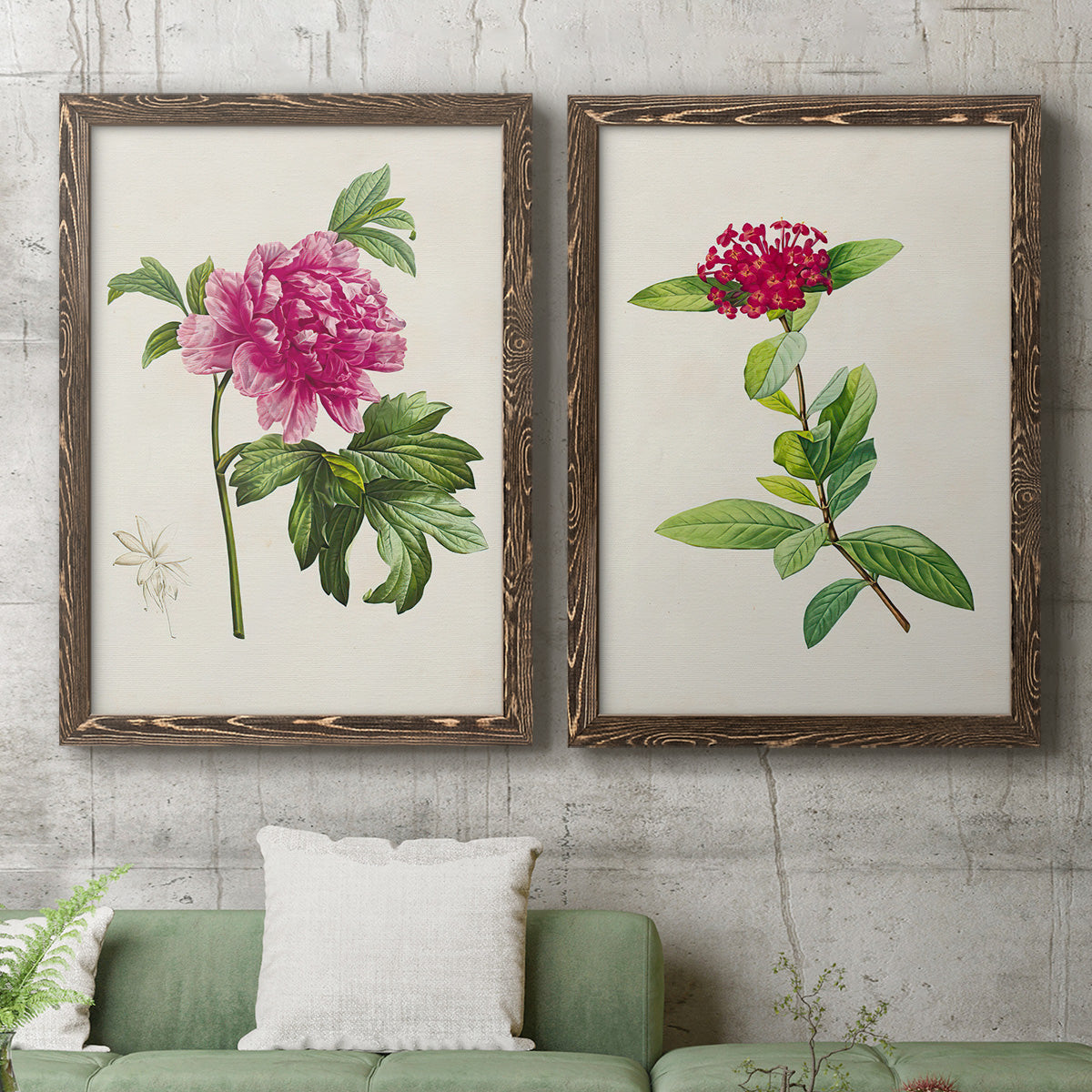 Set of two walnut barnwood framed canvas prints depicting a coordinated art pair of pink flowering plant specimens rendered as vintage botanical plate illustrations above a sofa in a modern living room.