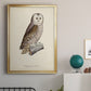 French Owls V - Modern Framed Canvas Print