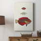 Colorful Tropical Fish II Premium Gallery Wrapped Canvas - Ready to Hang