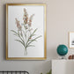 Dainty Botanical I - Modern Framed Canvas Print