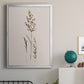 Delicate Stems II - Modern Framed Canvas Print