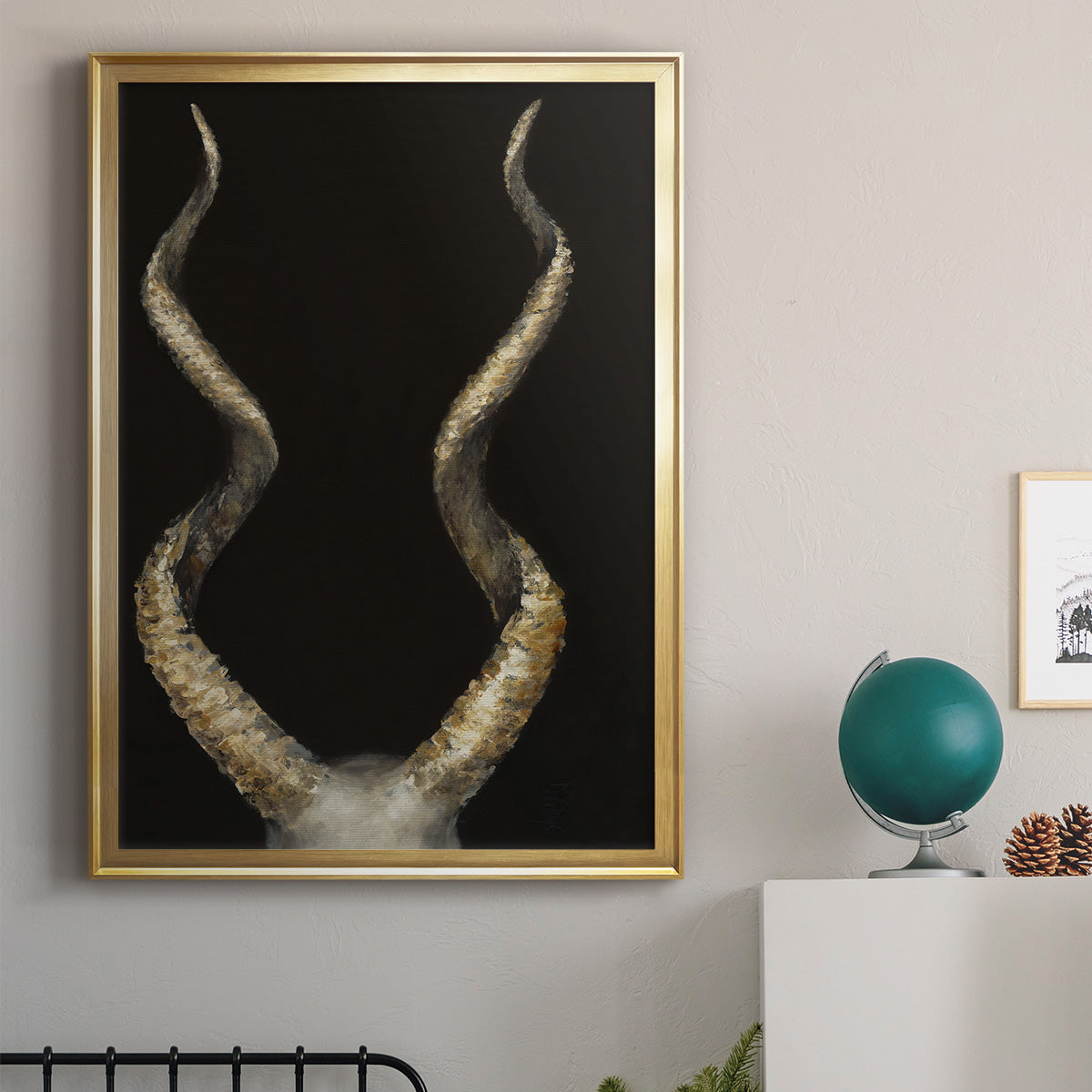 Spiral Antelope Horns -  Framed Canvas Print