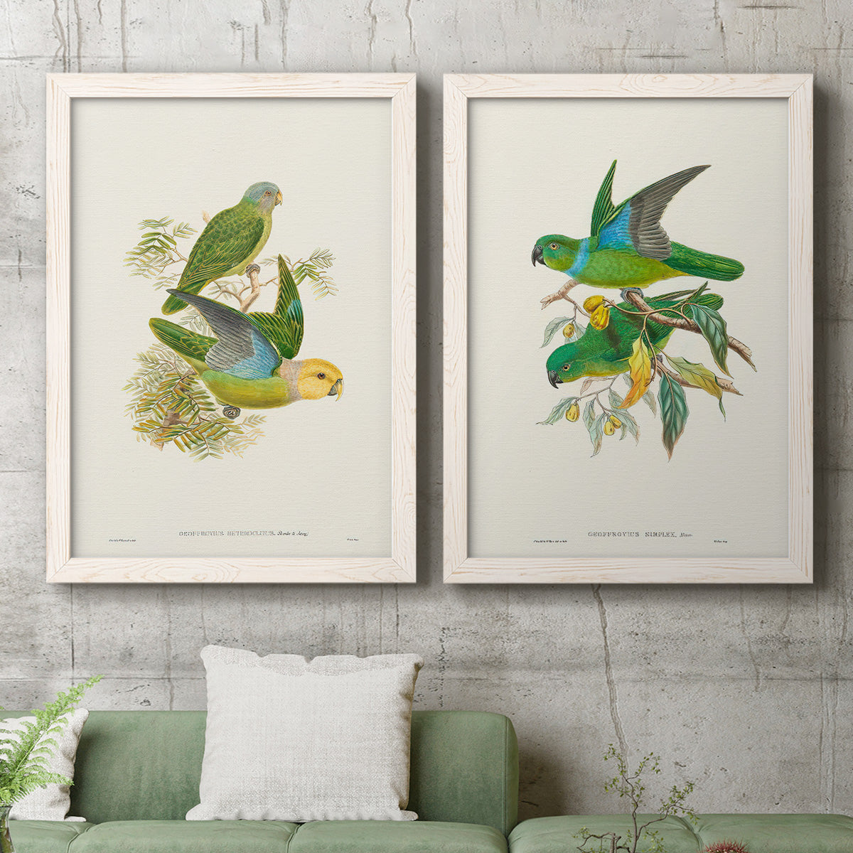 Lime & Cerulean Parrots I - Barnwood Framed Canvas Set