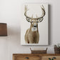 Handsome Whitetail II - Canvas Art Print