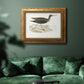 Morris Sandpipers VII Premium Framed Canvas- Ready to Hang