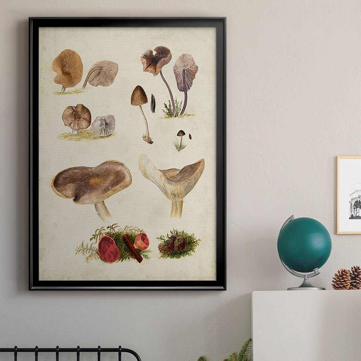Mushroom Species III - Modern Framed Canvas Print
