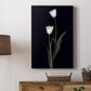 Tulip Pose II - Canvas Art Print