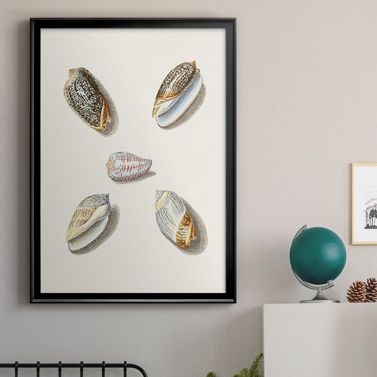 Pastel Knorr Shells III - Modern Framed Canvas Print