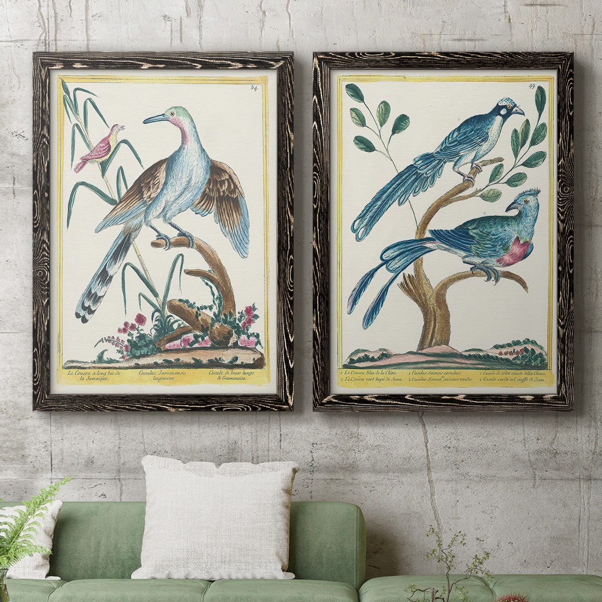 Pastel Birds V - Premium Framed Canvas 2 Piece Set - Ready to Hang