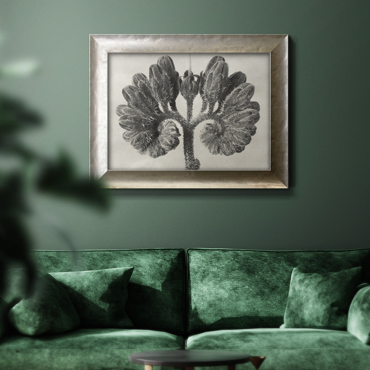 Blossfeldt Botanical VIII Premium Framed Canvas- Ready to Hang