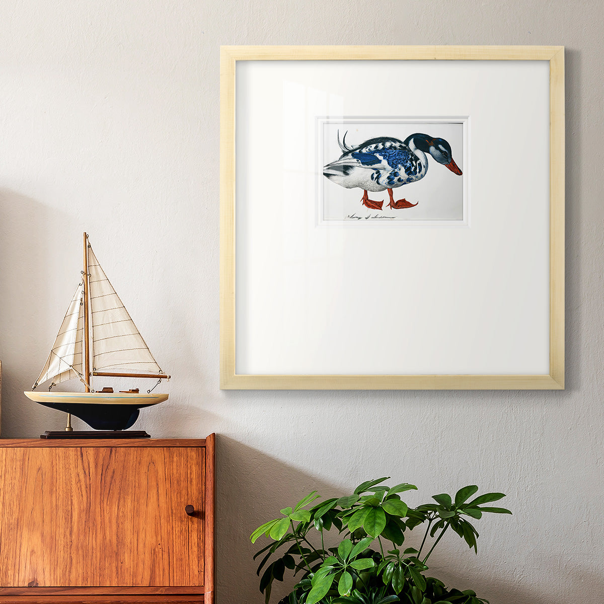 Blue Mallard Premium Framed Print Double Matboard