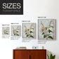 Floral Study Series LXXXVII - Restickable Framed Art Set