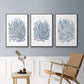 Summer Herb Garden Sketches I - Framed Premium Gallery Wrapped Canvas L Frame 3 Piece Set - Ready to Hang