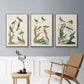 Antique Birds in Nature I - Framed Premium Gallery Wrapped Canvas L Frame 3 Piece Set - Ready to Hang