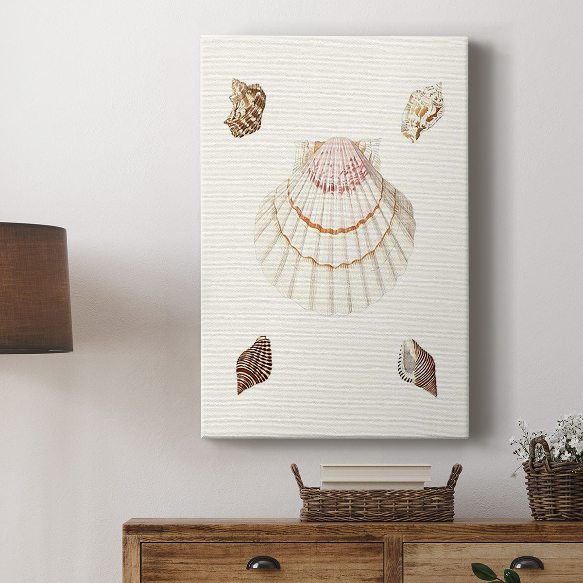 Pastel Knorr Shells IV - Canvas Art Print