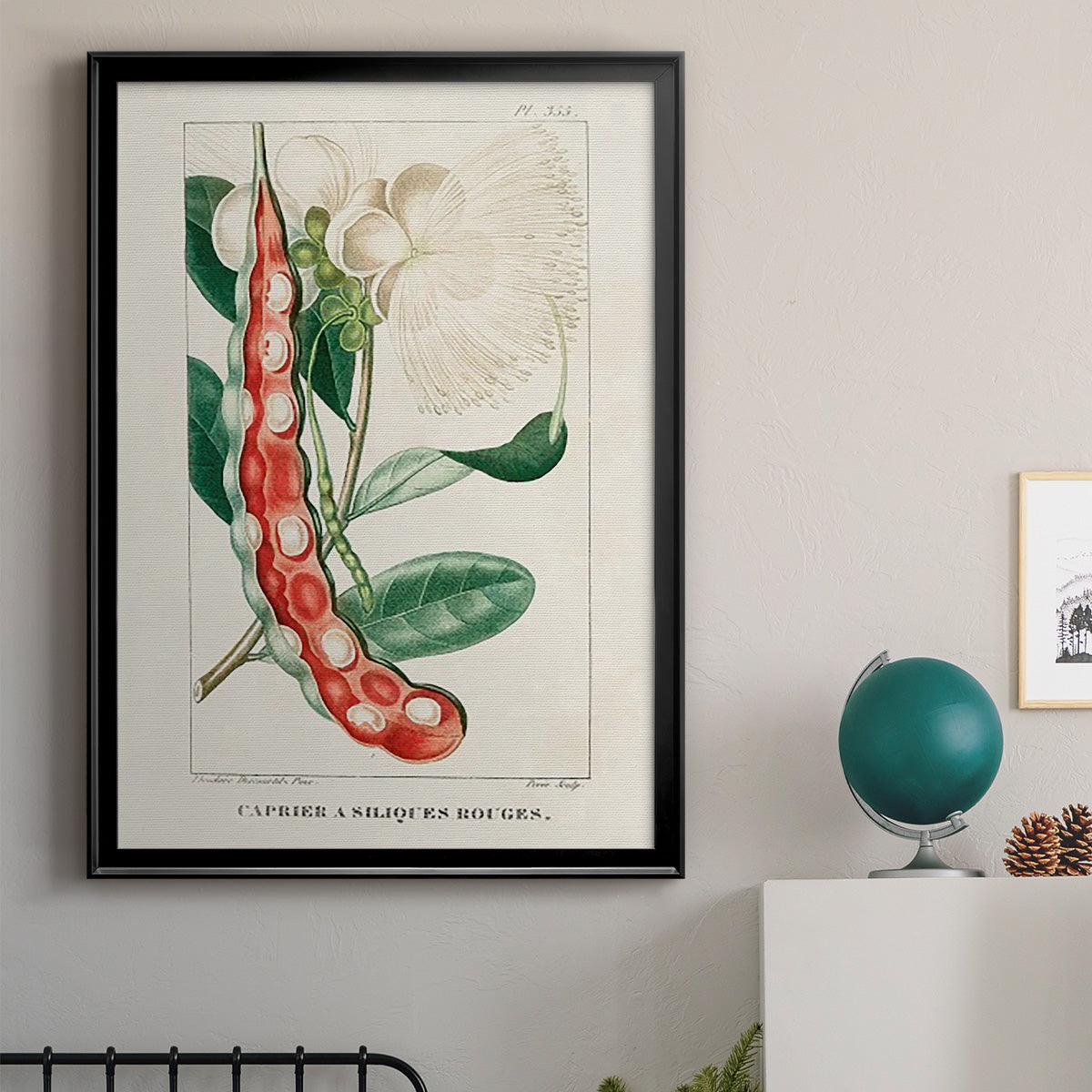 Turpin Tropical Botanicals VIII - Modern Framed Canvas Print