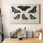 Crackled Butterflies II Premium Gallery Wrapped Canvas - Ready to Hang