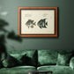 Bloch Antique Fish II Premium Framed Canvas- Ready to Hang