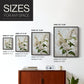 Floral Study Series LXXXVII - Restickable Framed Art Set
