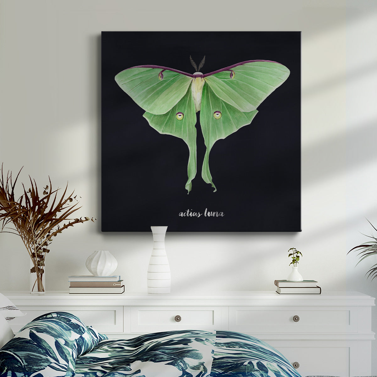 Luna Moth II - Canvas Art Print