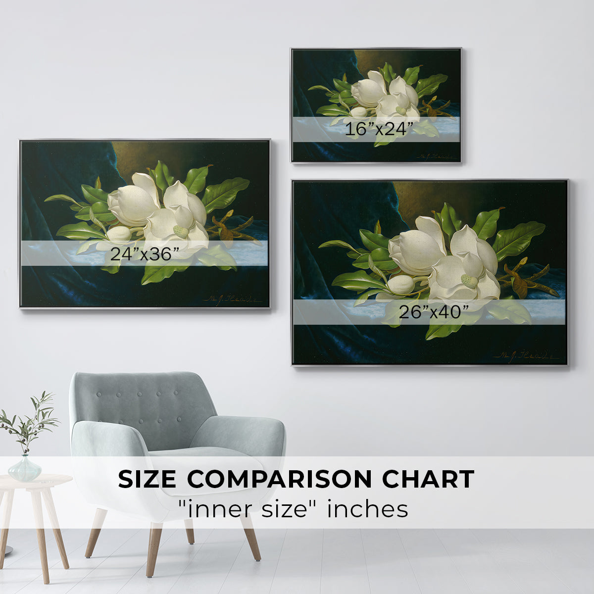 Giant Magnolias on a Blue Velvet Cloth, c. 1890 - Floater Framed Canvas Print