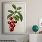 Antique Fruit II - Modern Framed Canvas Print