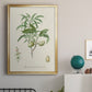 Antique Almond Botanical II - Modern Framed Canvas Print