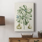 Buchoz Tropicals IX - Canvas Art Print