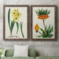 Set of two walnut barnwood framed canvas prints depicting a coordinated art pair of colorful flowering plant specimens rendered as antique botanical plate illustrations above a sofa in a modern living room.