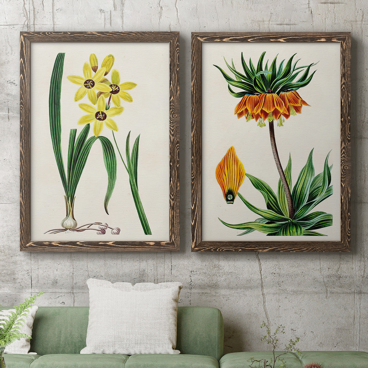 Set of two walnut barnwood framed canvas prints depicting a coordinated art pair of colorful flowering plant specimens rendered as antique botanical plate illustrations above a sofa in a modern living room.