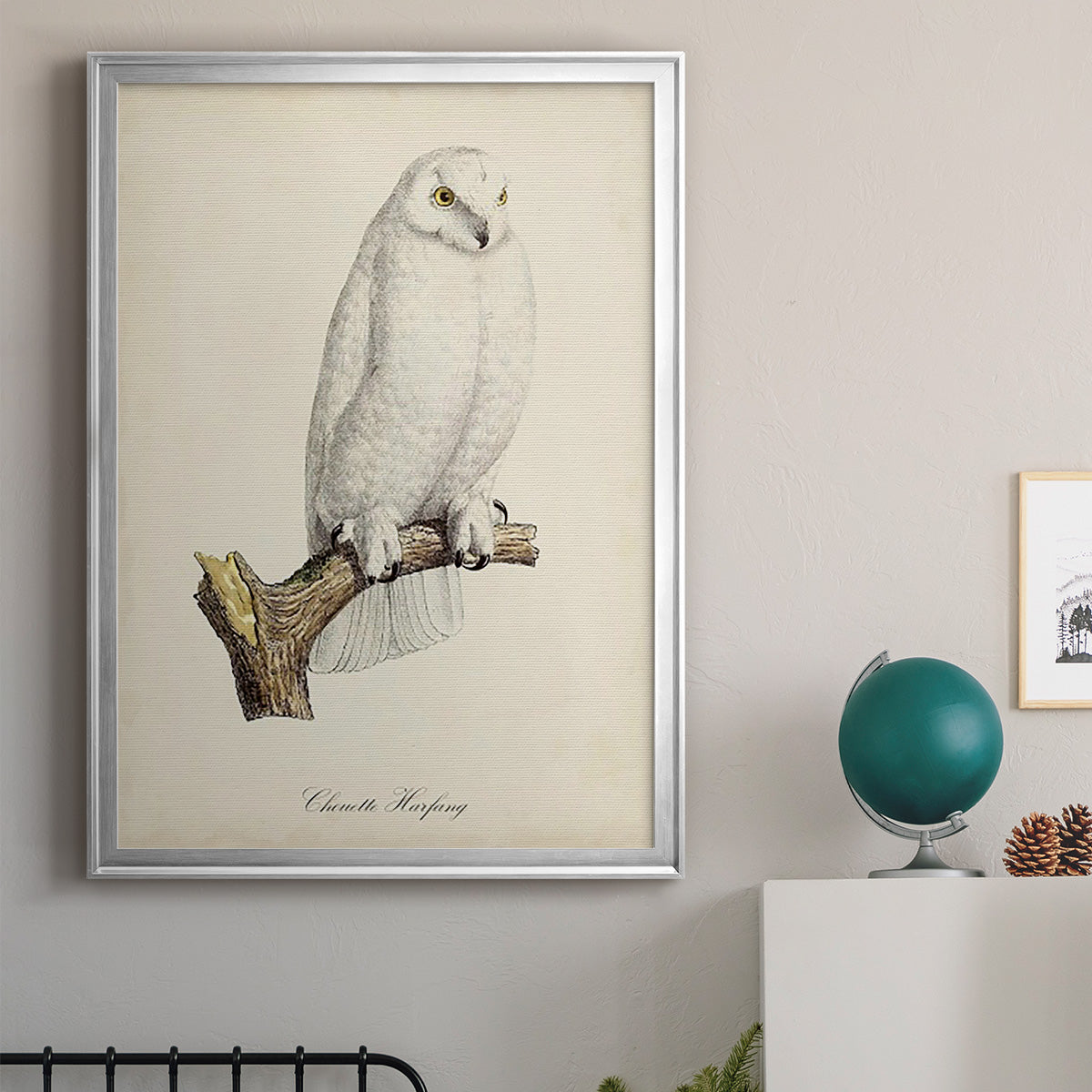 French Owls IV - Modern Framed Canvas Print