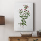 Rose Botanical III Premium Gallery Wrapped Canvas - Ready to Hang