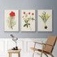 Flowers of the Seasons VI - Framed Premium Gallery Wrapped Canvas L Frame 3 Piece Set - Ready to Hang