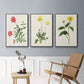 Flowers of the Seasons X - Framed Premium Gallery Wrapped Canvas L Frame 3 Piece Set - Ready to Hang