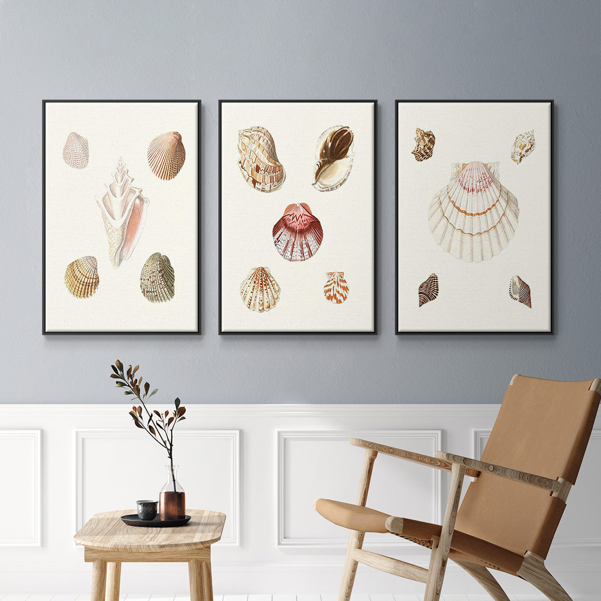 Pastel Knorr Shells I - Framed Premium Gallery Wrapped Canvas L Frame 3 Piece Set - Ready to Hang