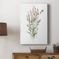 Dainty Botanical II - Canvas Art Print