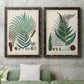 Set of two black barnwood framed canvas prints depicting a coordinated art pair of vintage fern specimens with botanical details rendered as natural-history fern plates above a sofa in a modern living room.