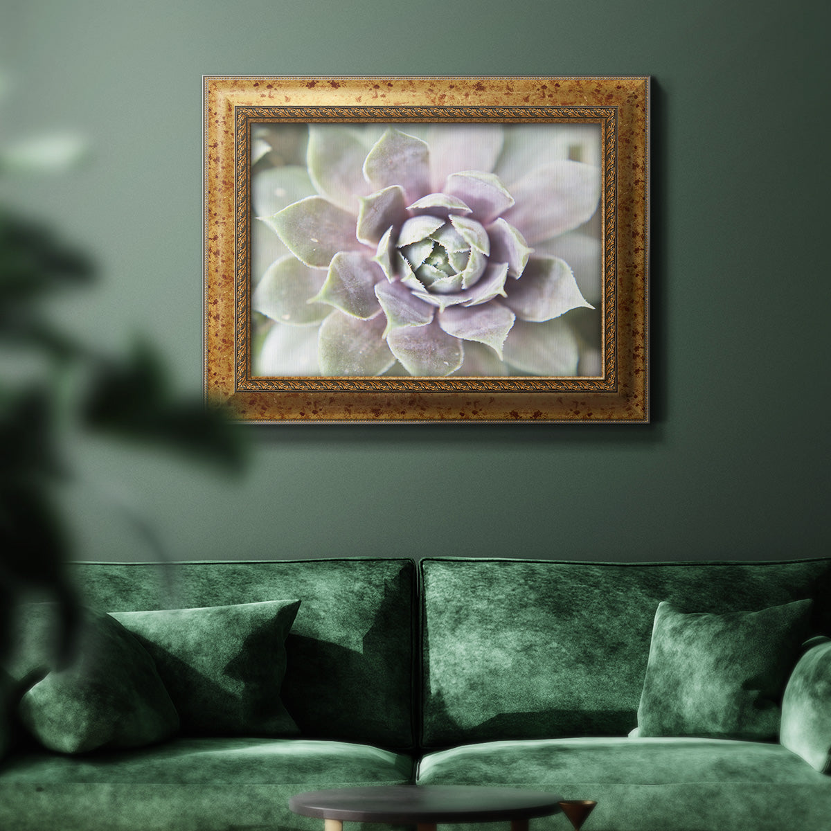 Succulent Glow II - Ornate Framed Canvas Print