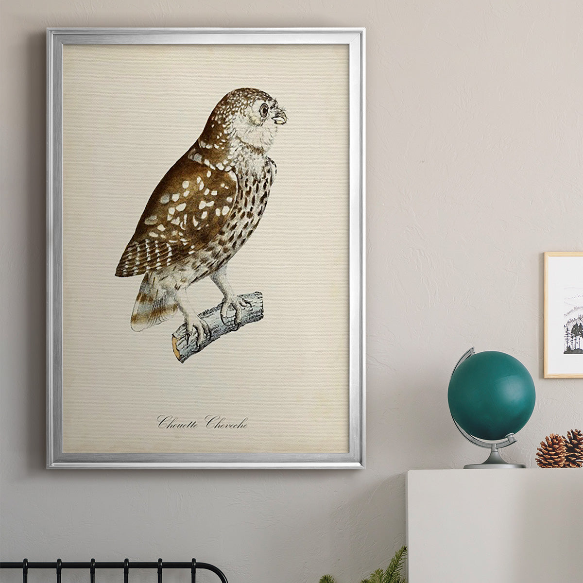 French Owls I - Modern Framed Canvas Print